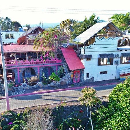 Lonesome George Ecolodge Puerto Ayora  Exterior foto