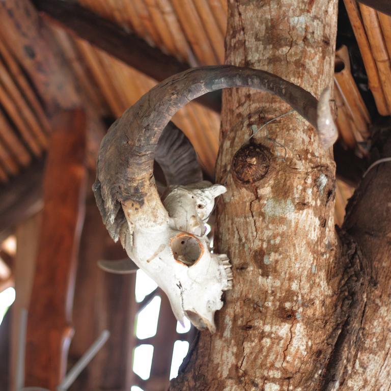 Lonesome George Ecolodge Puerto Ayora  Exterior foto